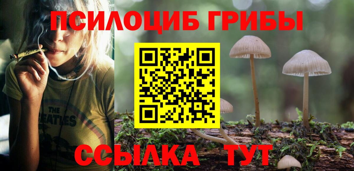 Камышин  ГЕРОИН  Alpha-PVP СК кристаллы  COCAIN  ГАШ  Мефедрон кристаллы  Вход с VPN  Конопля 
