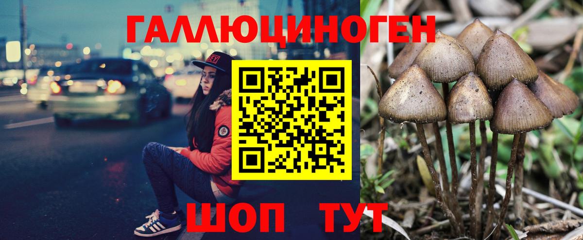 Псилоцибиновые грибы мицелий  Галлюциногенные грибы прущие грибы  Вход с VPN  Камышин 